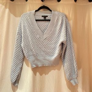 F21 Baby Blue Sweater